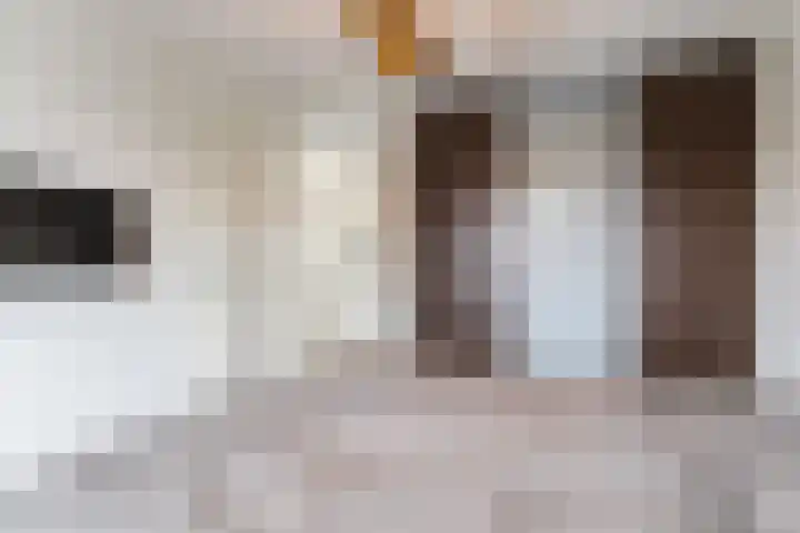 Sjean Vermeulenstraat 3 Rijen thumbnail 32