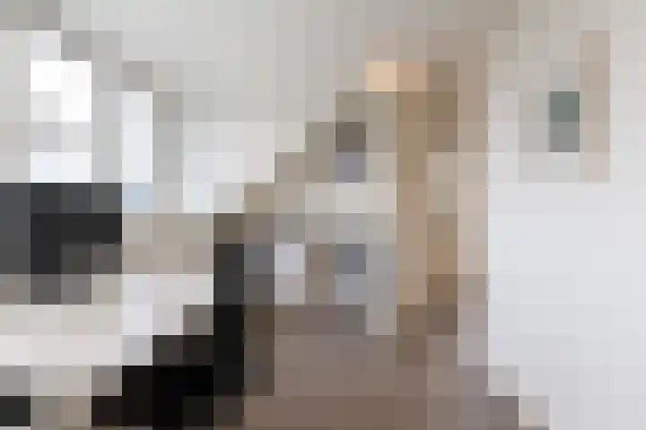 Sjean Vermeulenstraat 3 Rijen thumbnail 36