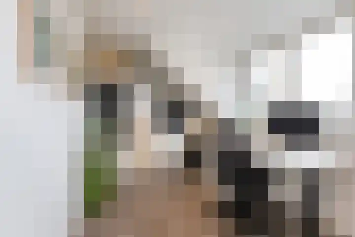 Sjean Vermeulenstraat 3 Rijen thumbnail 44