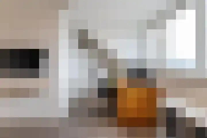 Sjean Vermeulenstraat 3 Rijen thumbnail 47