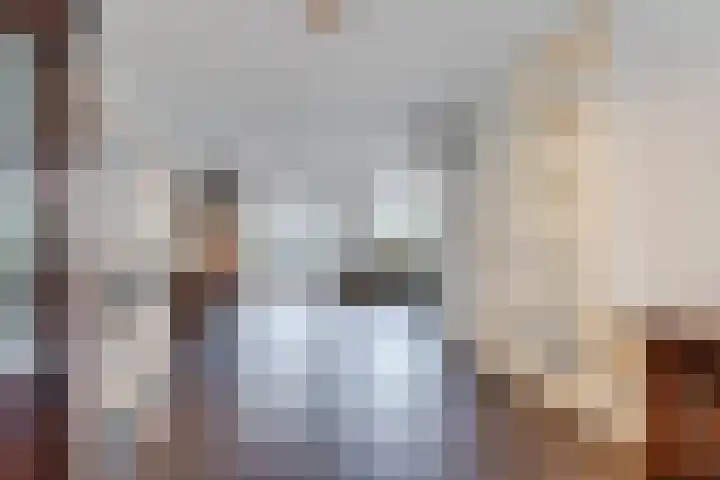 Sjean Vermeulenstraat 3 Rijen thumbnail 7
