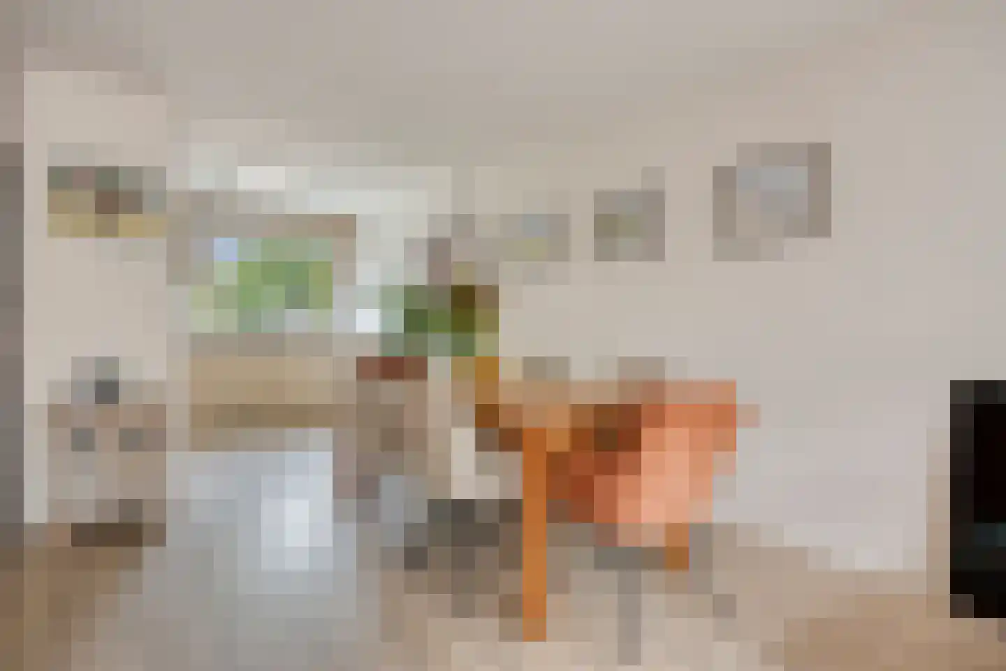 Sjeesstraat 14 Purmerend thumbnail 19