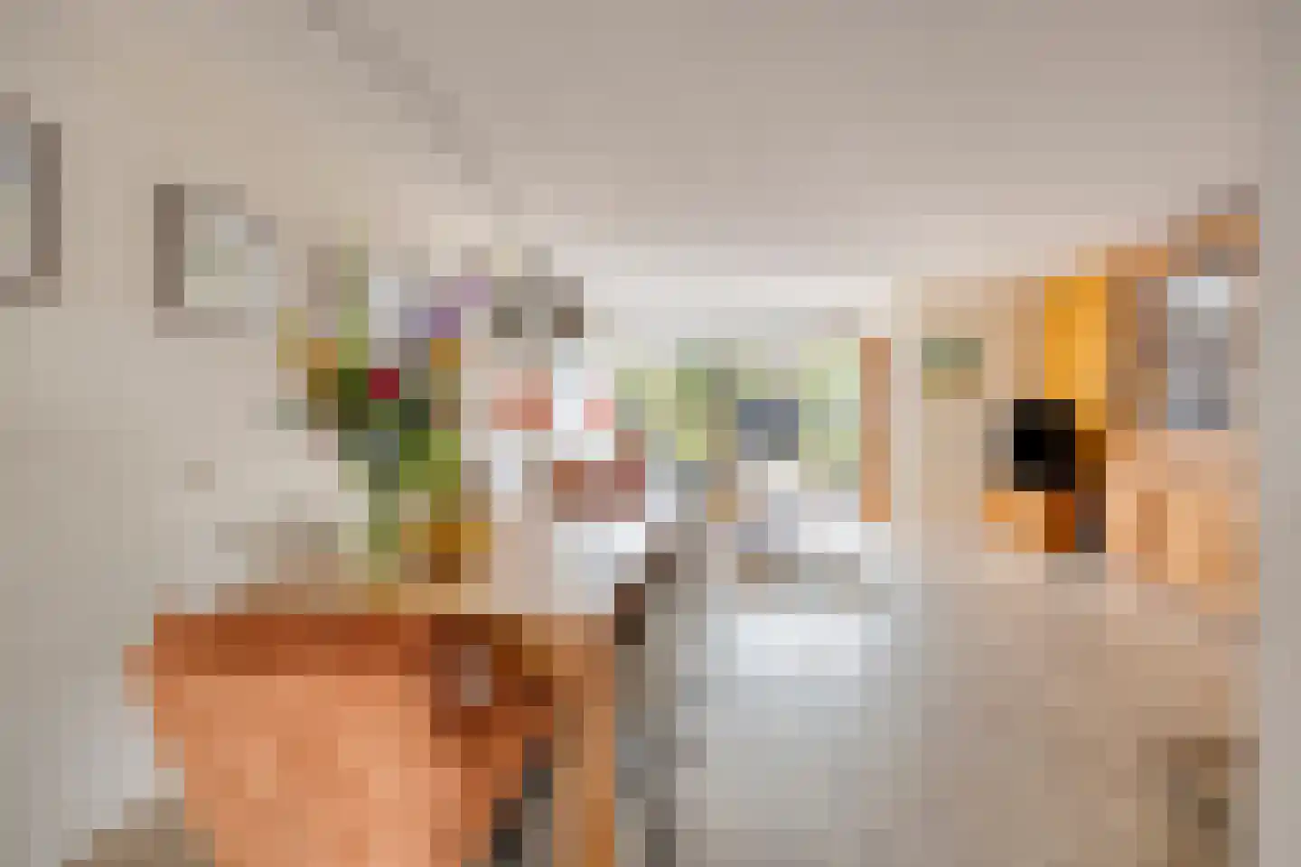 Sjeesstraat 14 Purmerend thumbnail 20