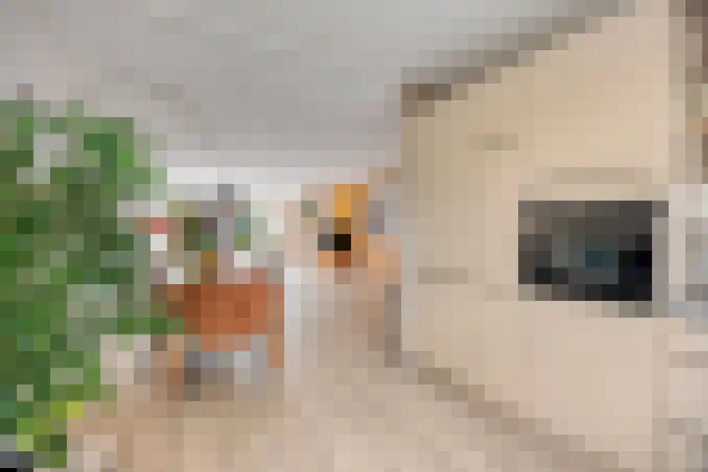 Sjeesstraat 14 Purmerend thumbnail 24