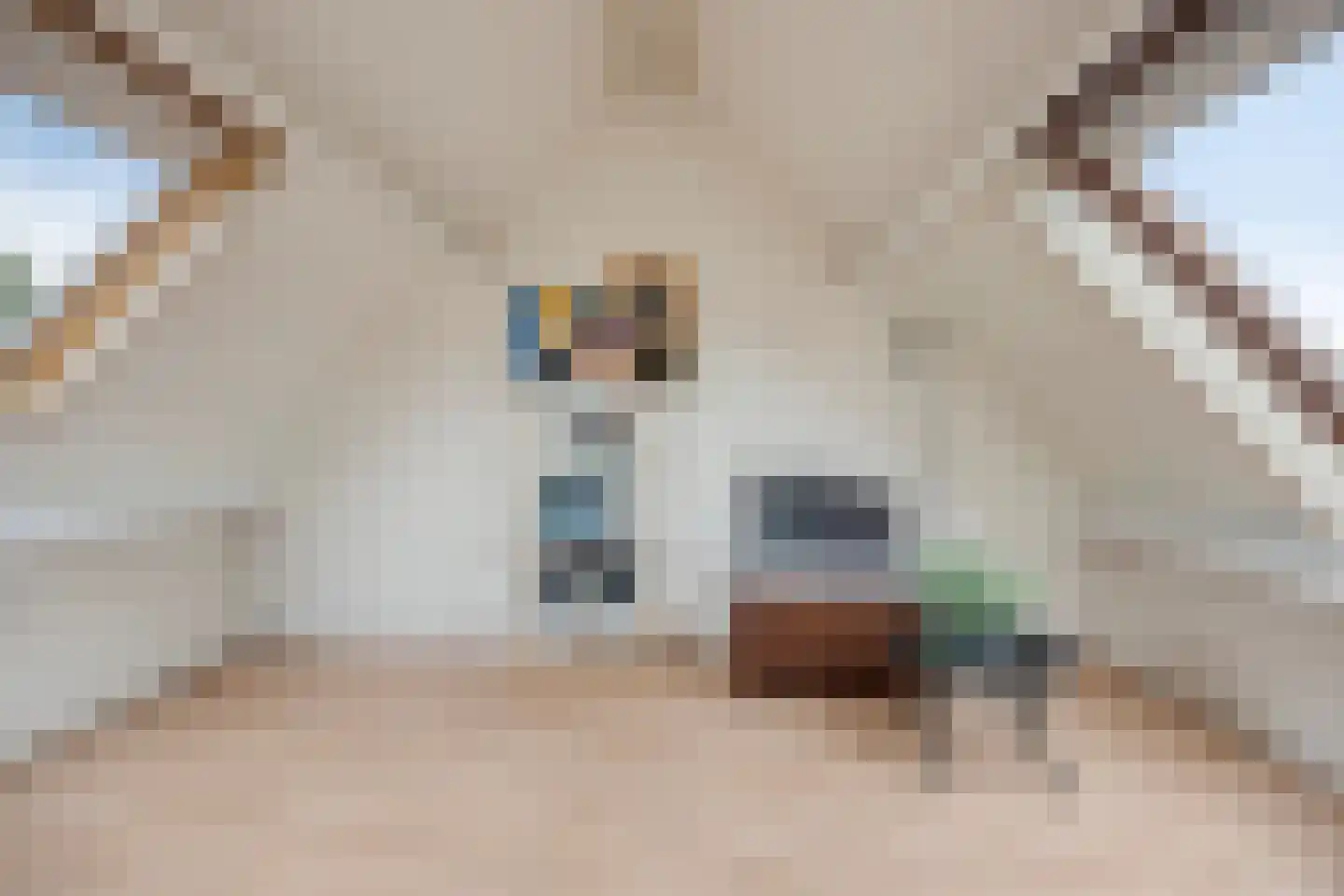 Sjeesstraat 14 Purmerend thumbnail 37