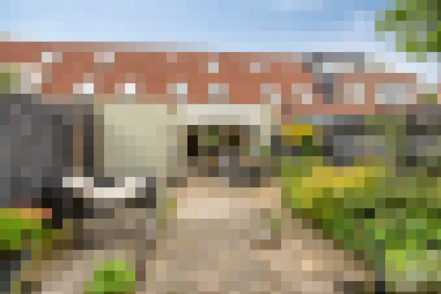 Sjeesstraat 14 Purmerend thumbnail 39