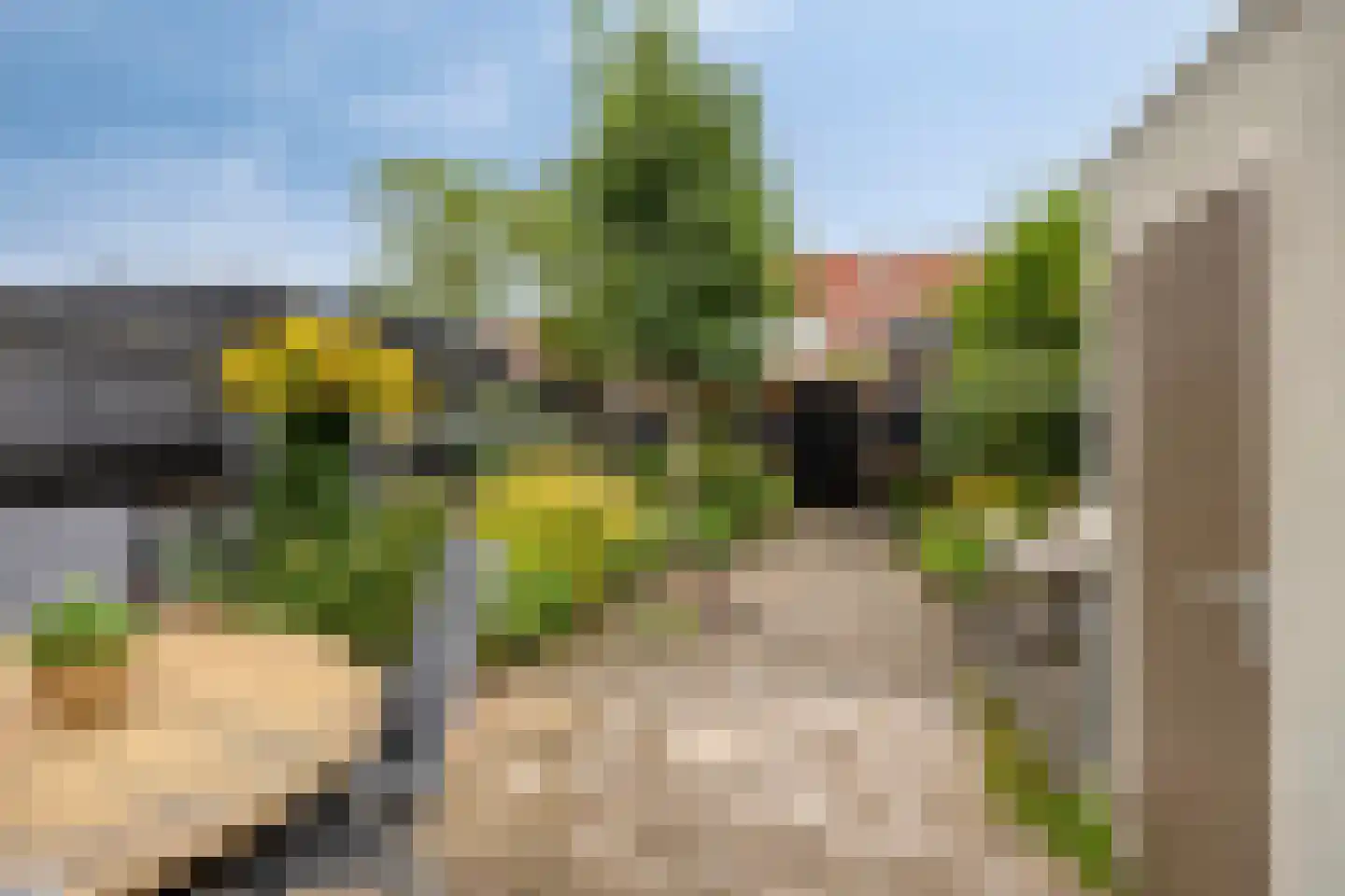 Sjeesstraat 14 Purmerend thumbnail 40