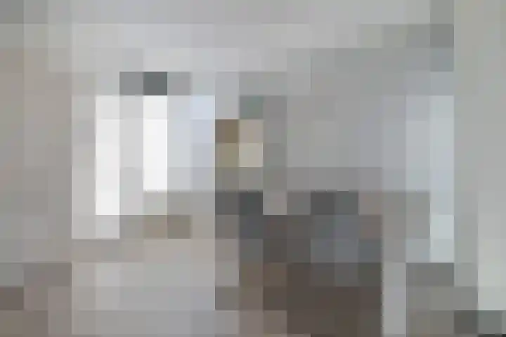 Sjef Gerrisstraat 12 Helmond thumbnail 15