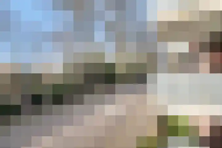 Sjef Gerrisstraat 12 Helmond thumbnail 35