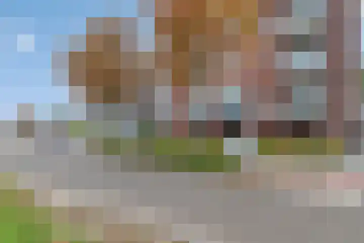 Sjef Gerrisstraat 45 Helmond thumbnail 8