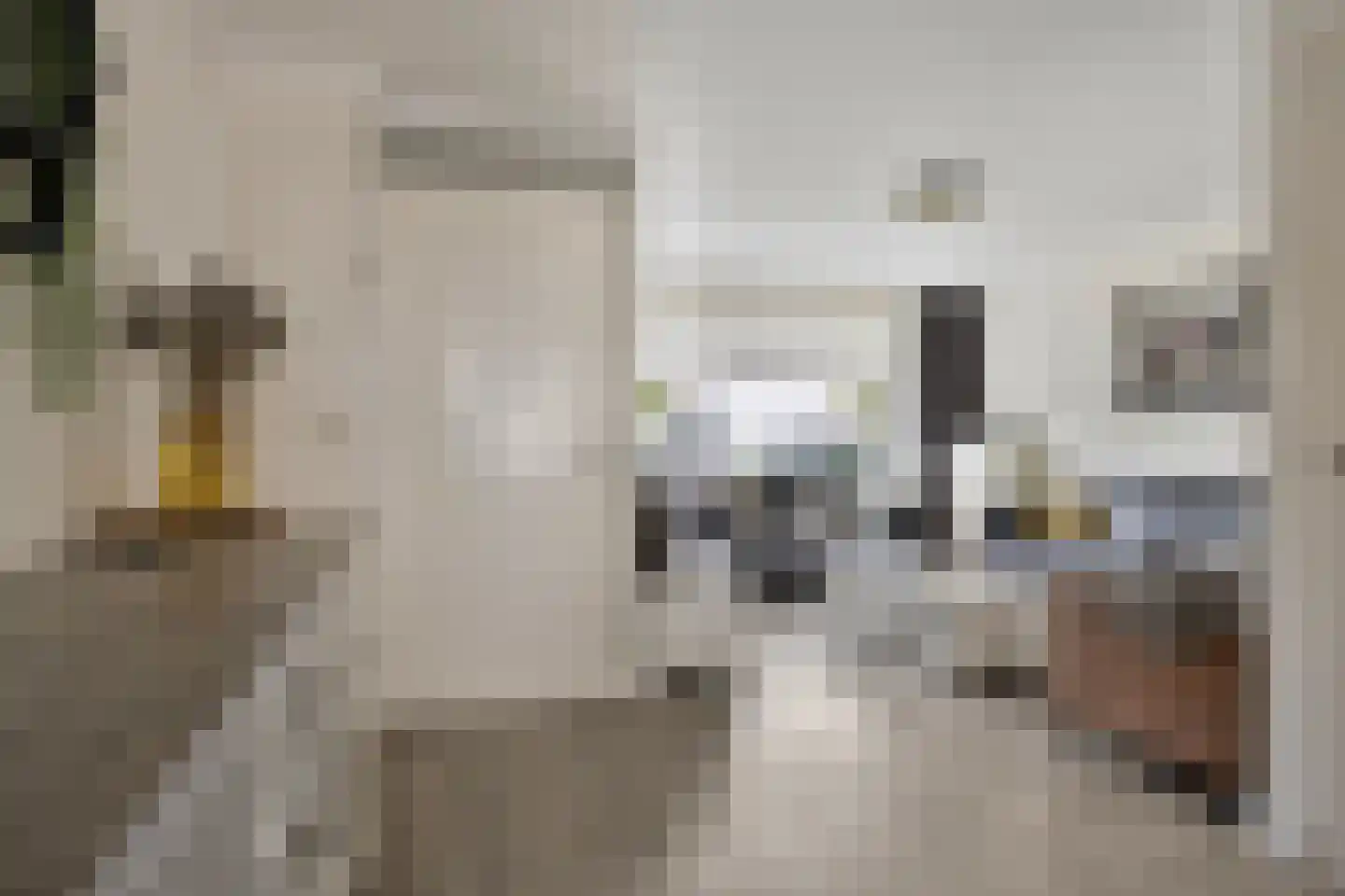 Sjef Remmenlaan 48 Helmond thumbnail 8