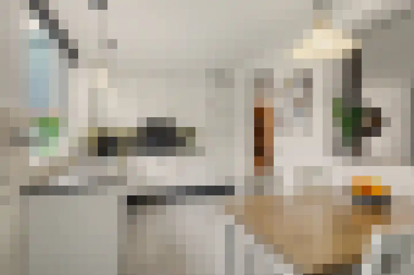 Sjef Seuntiënsstraat 12 Hoogeloon thumbnail 17