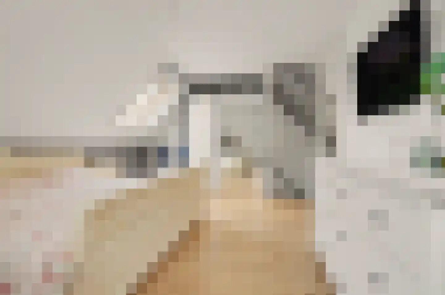 Sjef Seuntiënsstraat 12 Hoogeloon thumbnail 21