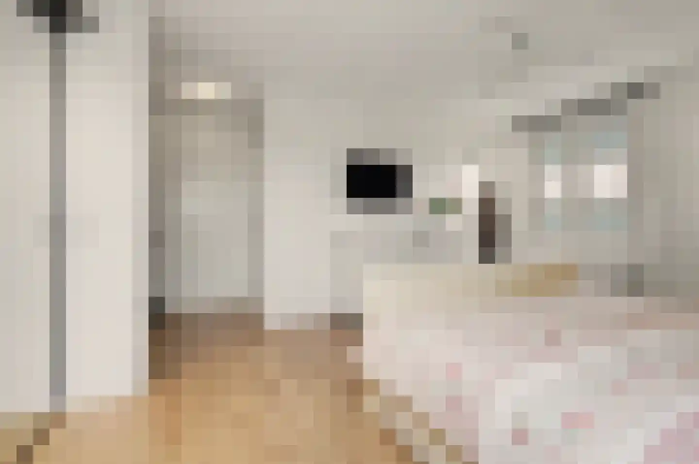 Sjef Seuntiënsstraat 12 Hoogeloon thumbnail 22