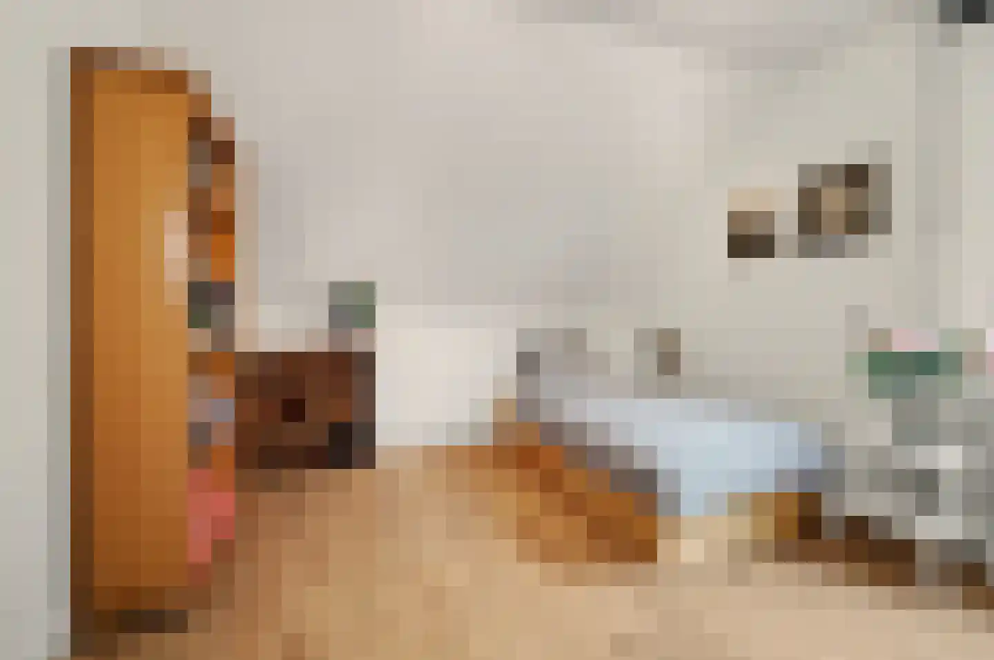 Sjef Seuntiënsstraat 12 Hoogeloon thumbnail 24