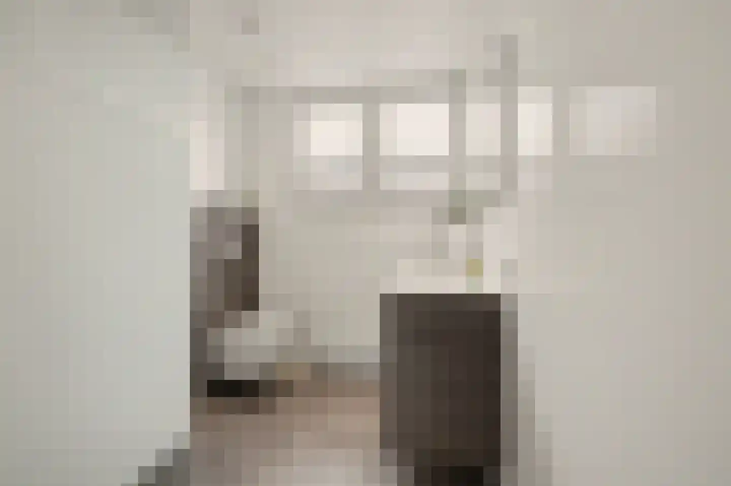 Sjef Seuntiënsstraat 12 Hoogeloon thumbnail 25
