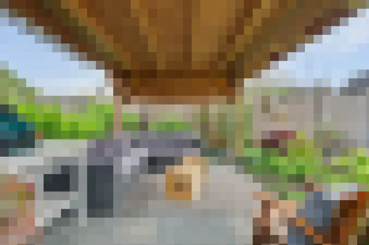 Sjef Seuntiënsstraat 12 Hoogeloon thumbnail 36
