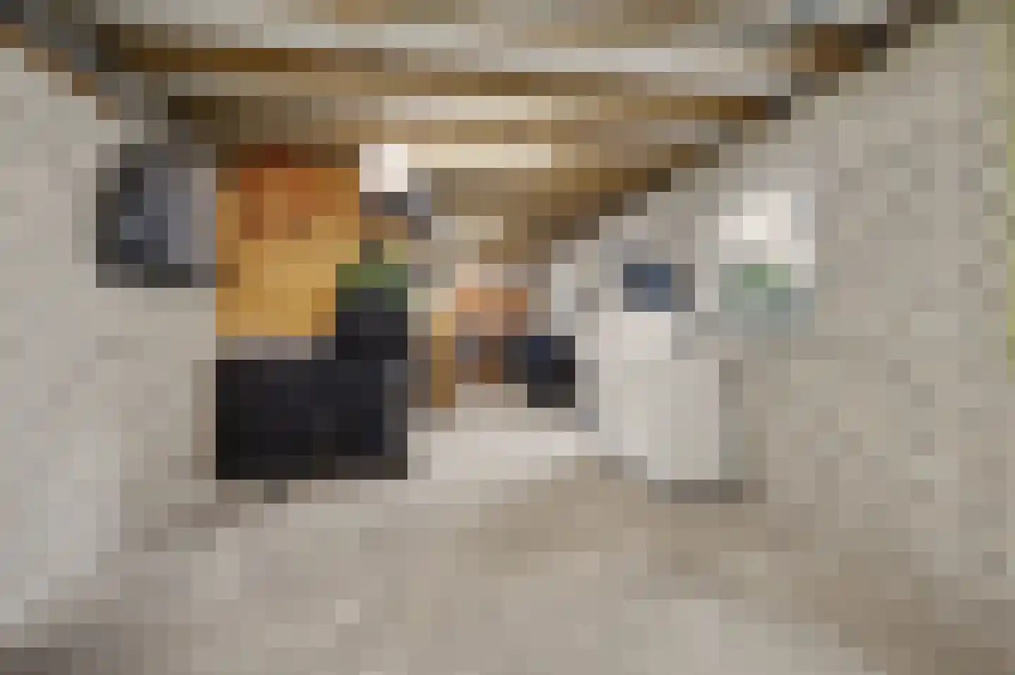 Sjef Seuntiënsstraat 12 Hoogeloon thumbnail 43