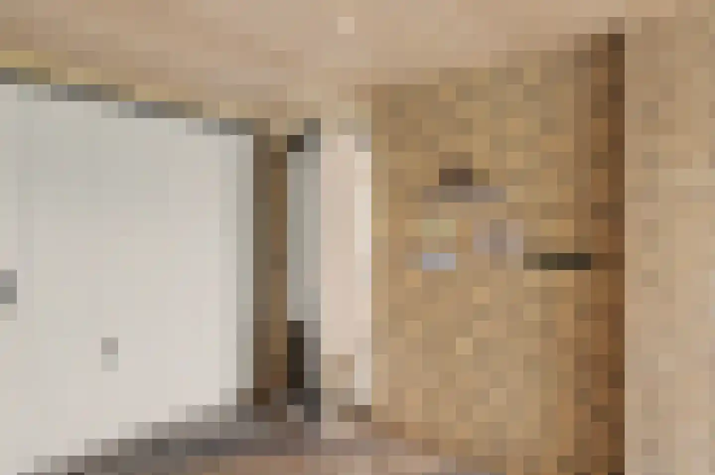 Sjef Seuntiënsstraat 12 Hoogeloon thumbnail 45