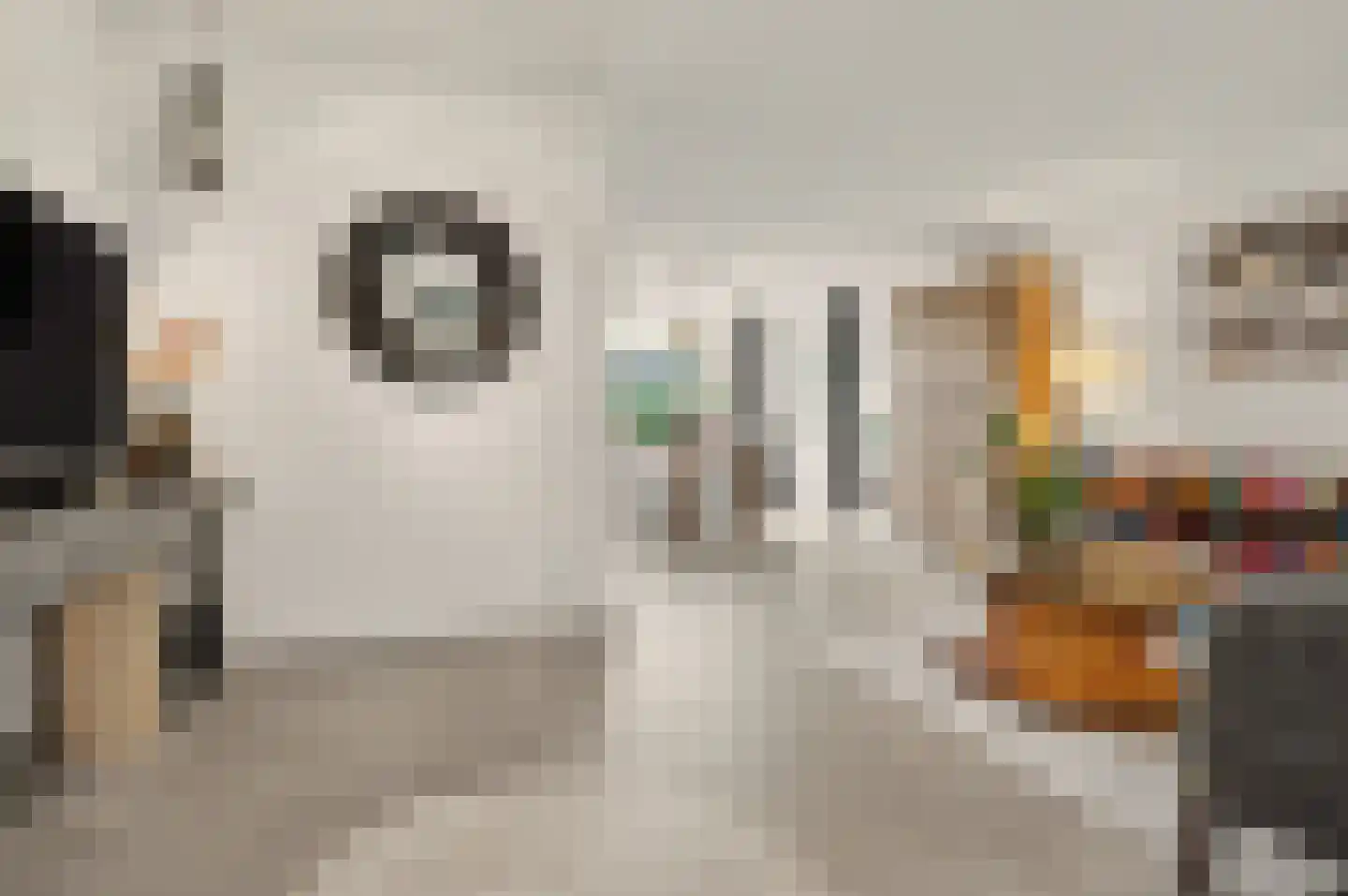 Sjef Seuntiënsstraat 12 Hoogeloon thumbnail 5