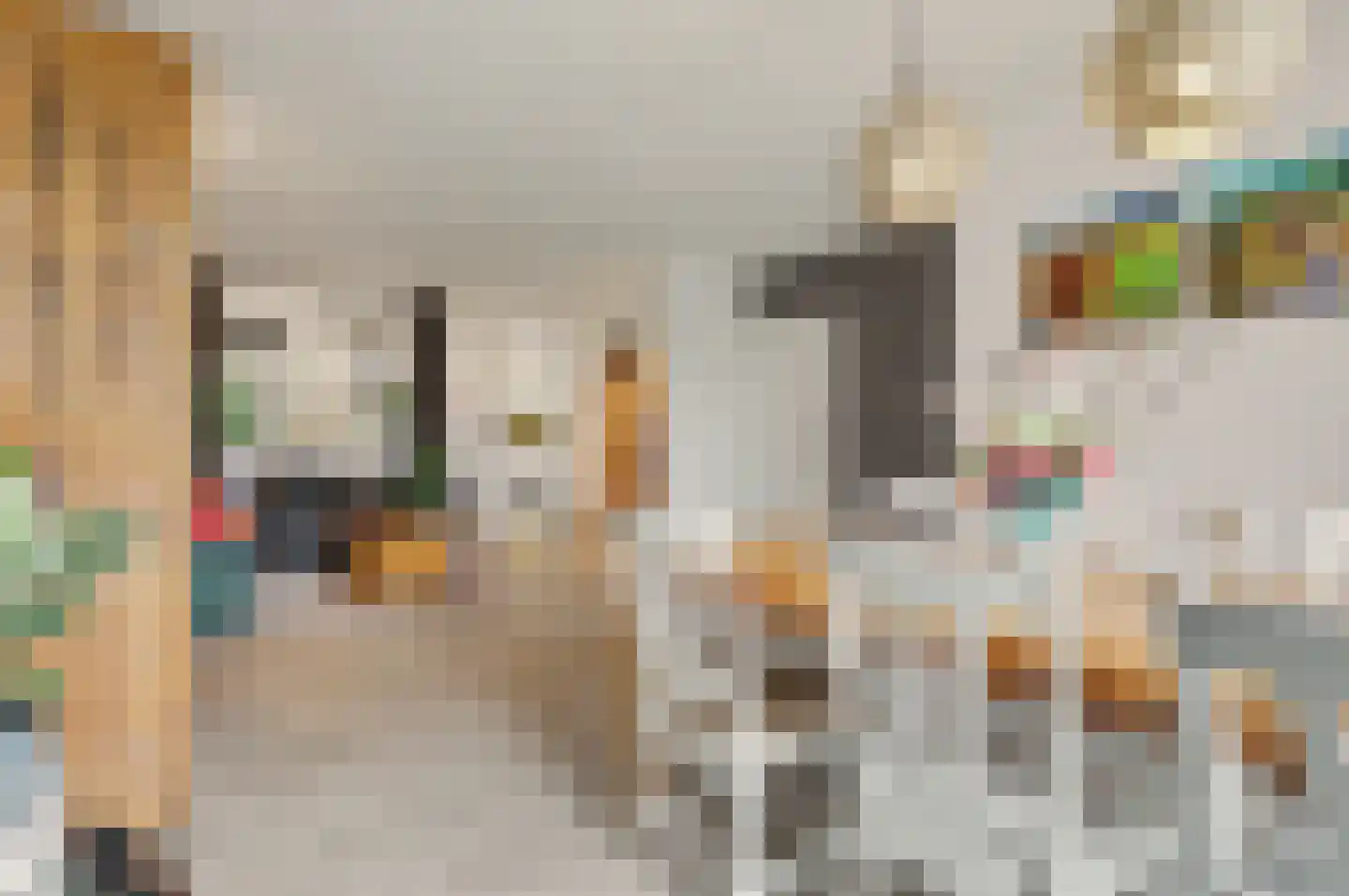 Sjef Seuntiënsstraat 12 Hoogeloon thumbnail 9