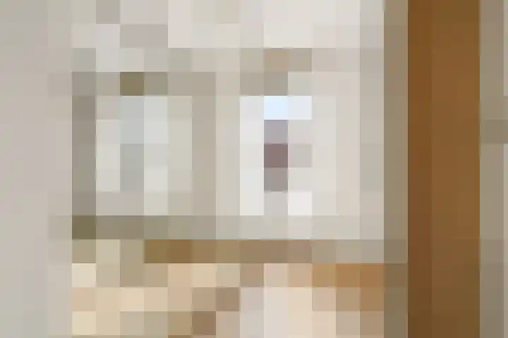 Sjef van Kalmthoutstraat 62 Hoofddorp thumbnail 13
