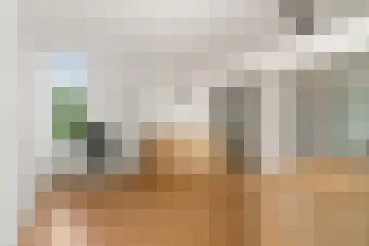 Sjef van Kalmthoutstraat 62 Hoofddorp thumbnail 19