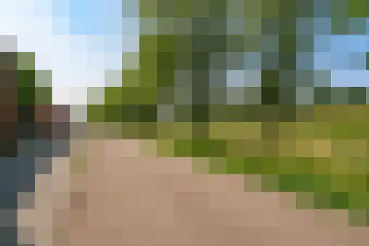 Sjef van Kalmthoutstraat 62 Hoofddorp thumbnail 31