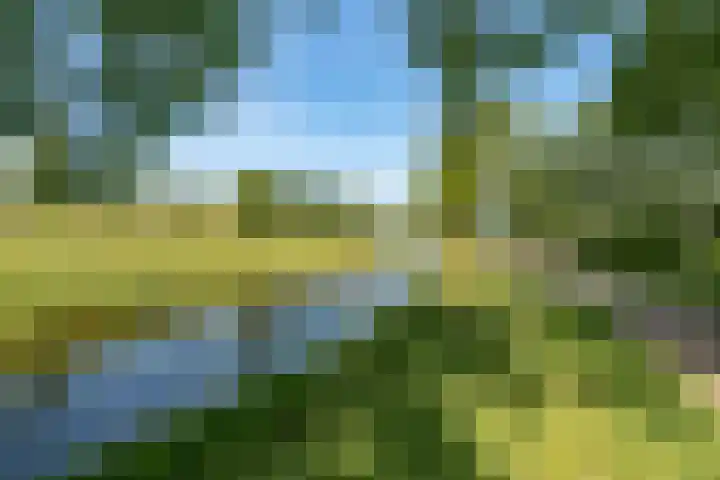 Sjef van Kalmthoutstraat 62 Hoofddorp thumbnail 32