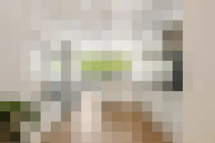 Sjef van Kalmthoutstraat 62 Hoofddorp thumbnail 6