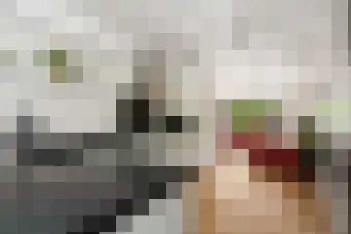 Sjef van Kalmthoutstraat 62 Hoofddorp thumbnail 7