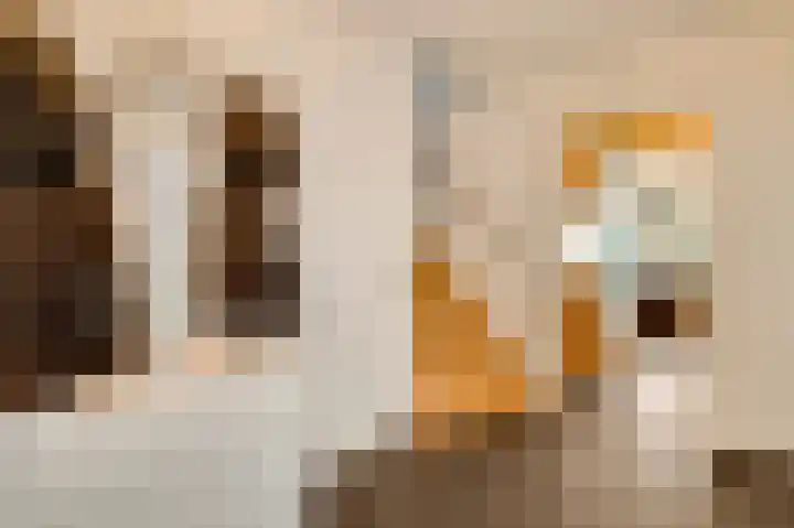 Sjeng Vaasstraat 9 Nederweert thumbnail 13