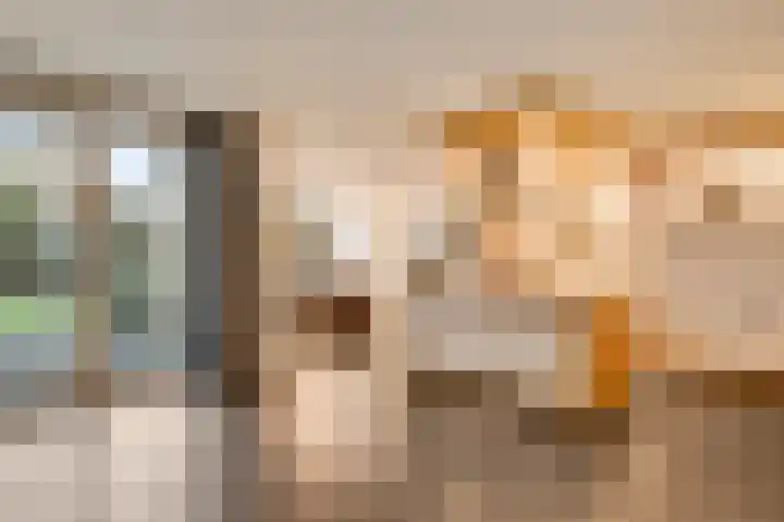 Sjeng Vaasstraat 9 Nederweert thumbnail 22
