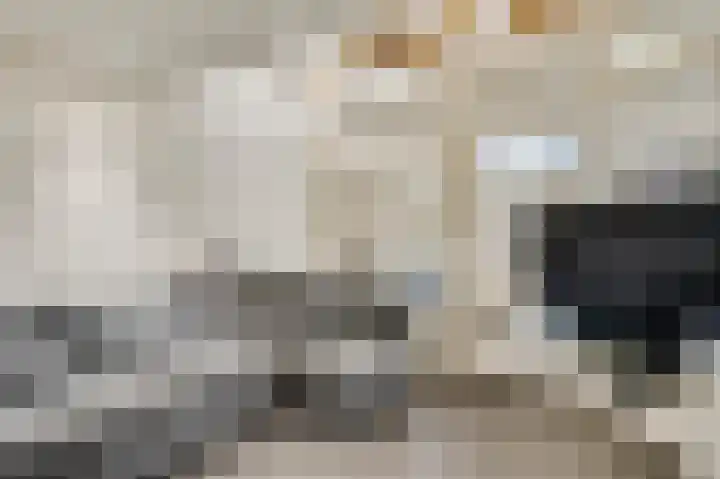 Sjeng Vaasstraat 9 Nederweert thumbnail 33