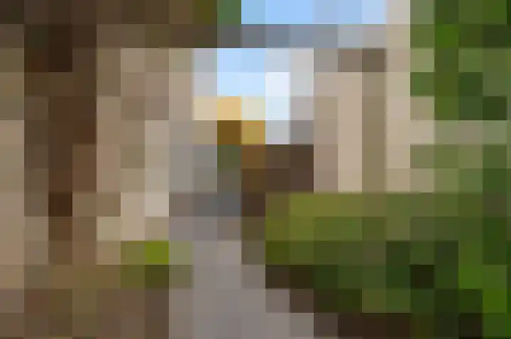 Sjeng Vaasstraat 9 Nederweert thumbnail 34