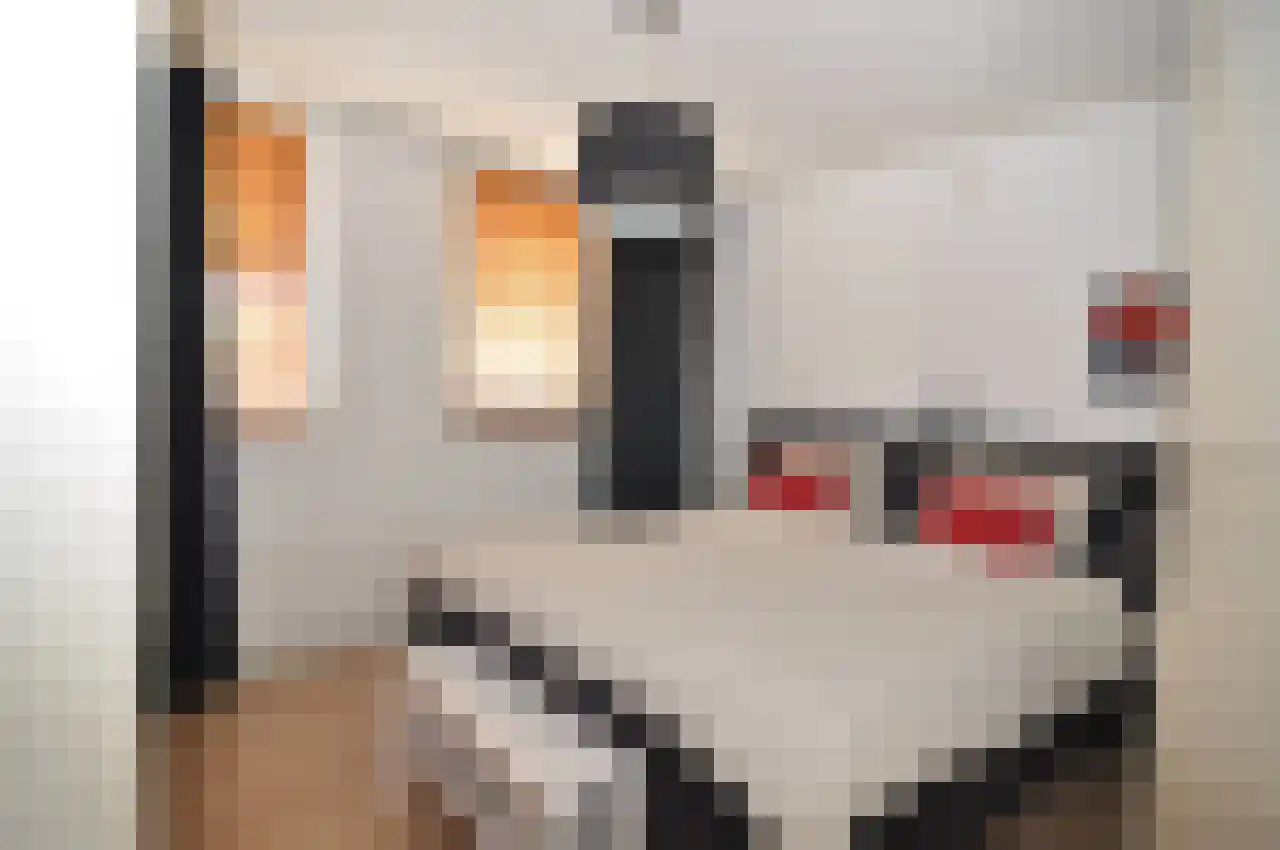 Sjerpstraat 4 Loon op Zand thumbnail 9