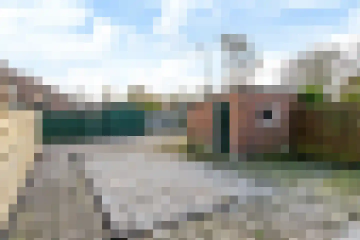 Sjoelstrjitte 12 Gorredijk thumbnail 19