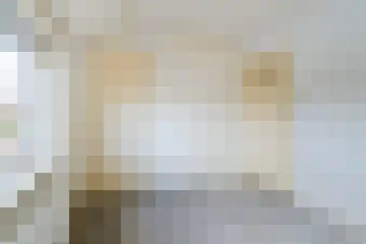 Sjoelstrjitte 12 Gorredijk thumbnail 27