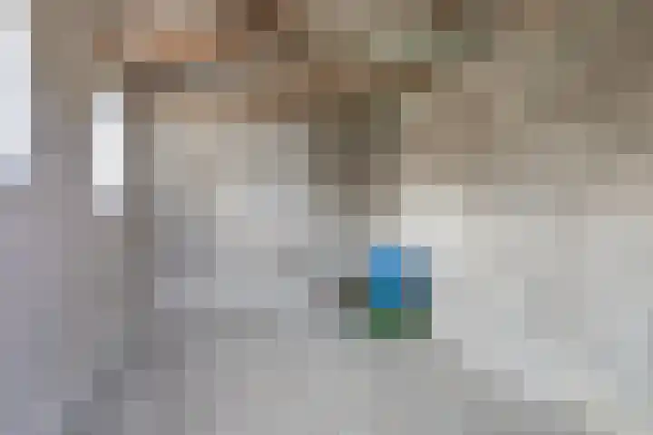 Sjoerd Baukesstrjitte 3 Broeksterwâld thumbnail 19