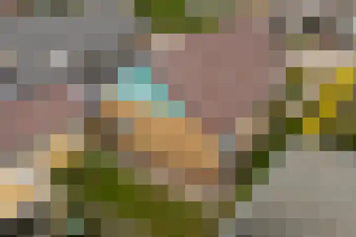 Sjoerd Baukesstrjitte 3 Broeksterwâld thumbnail 4