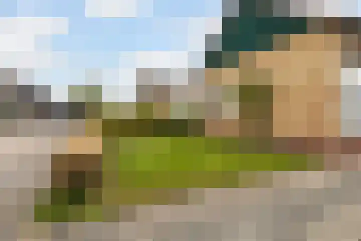 Sjoerd Baukesstrjitte 3 Broeksterwâld thumbnail 6