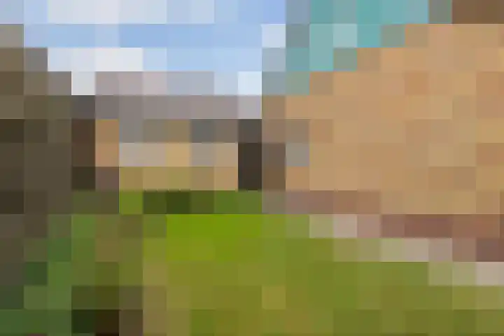 Sjoerd Baukesstrjitte 3 Broeksterwâld thumbnail 8