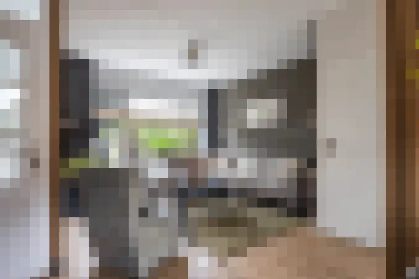 Sjoerd Pieters Hoekstraweg 30 Sumar thumbnail 12