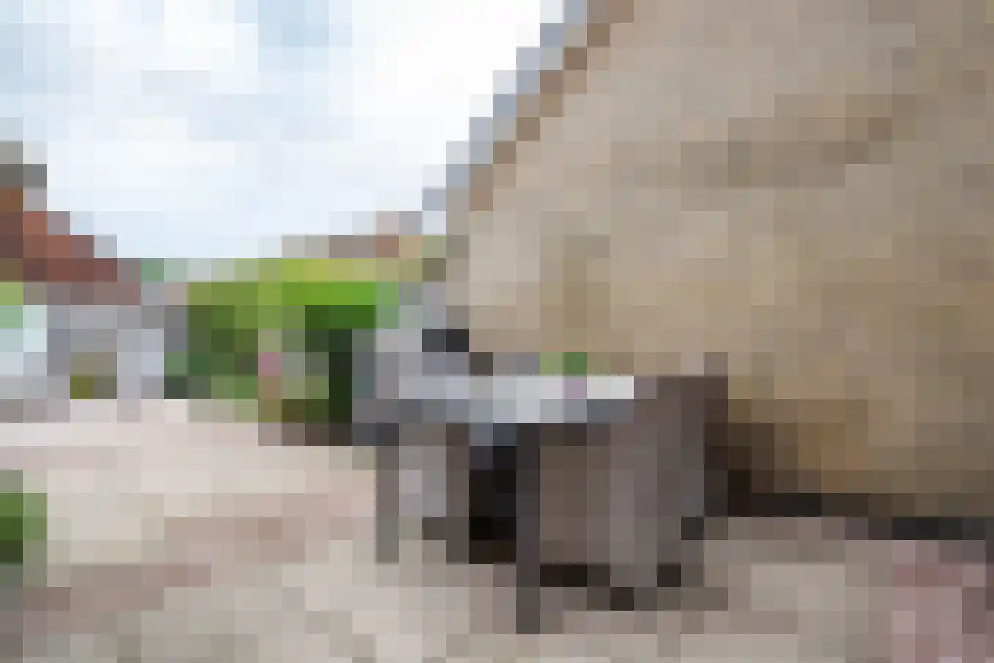 Sjoerd Pieters Hoekstraweg 30 Sumar thumbnail 23