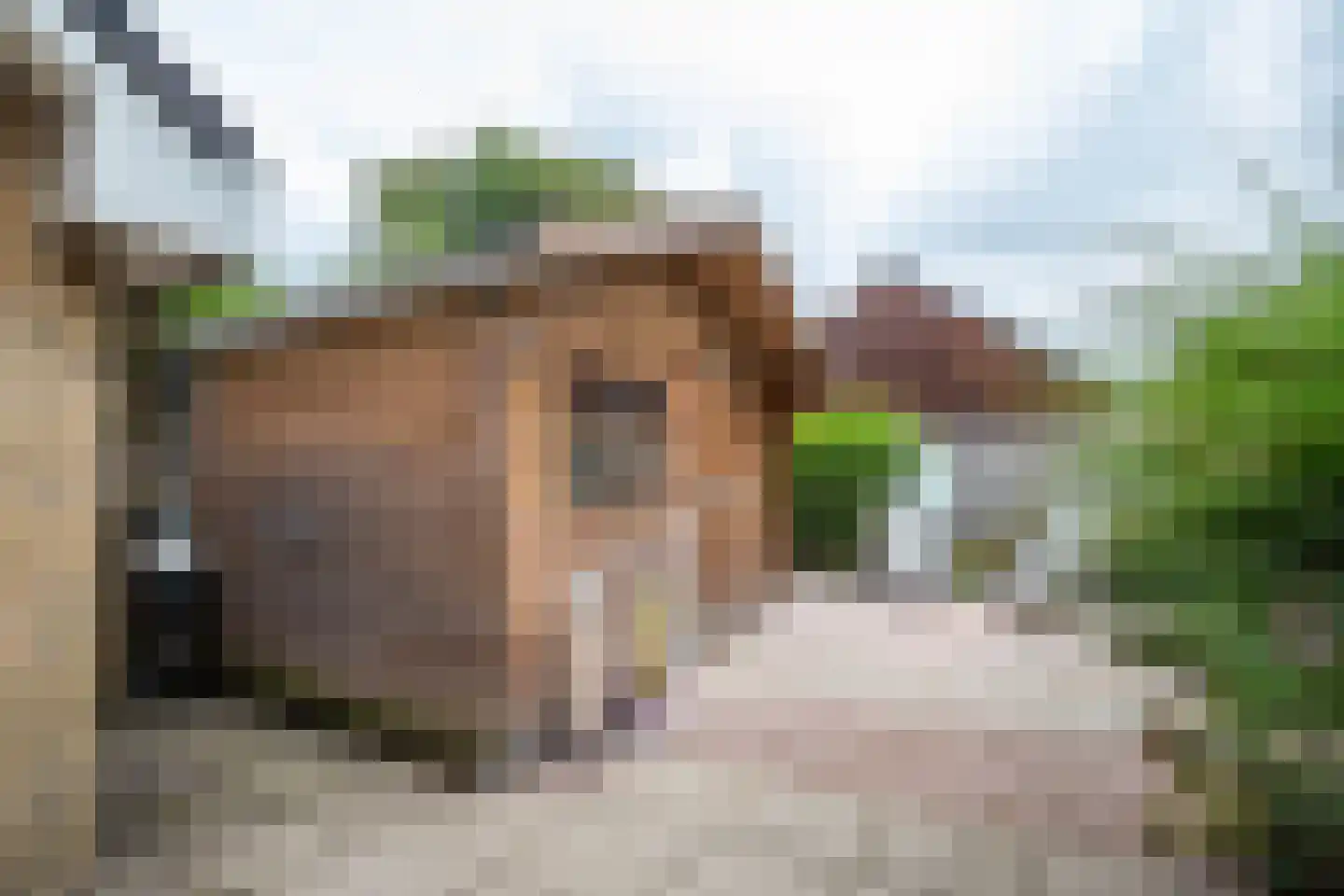 Sjoerd Pieters Hoekstraweg 30 Sumar thumbnail 25