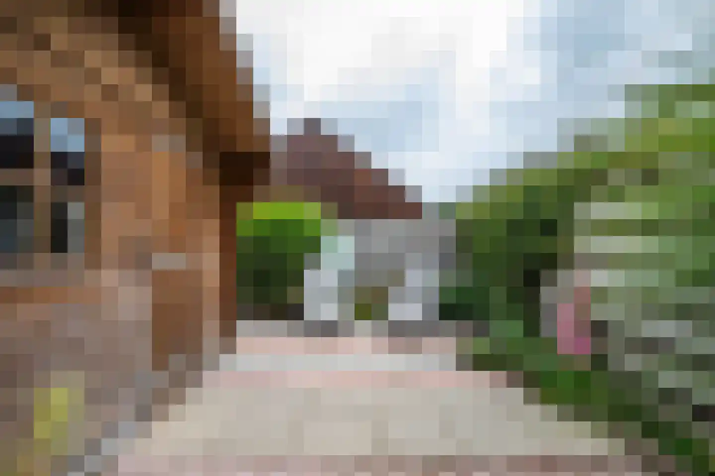 Sjoerd Pieters Hoekstraweg 30 Sumar thumbnail 26