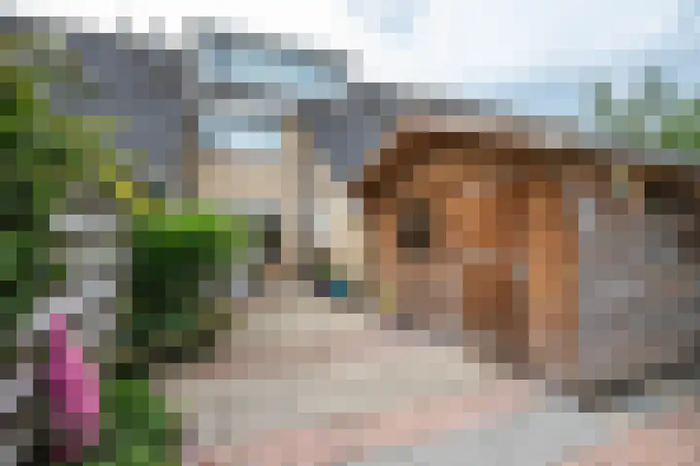 Sjoerd Pieters Hoekstraweg 30 Sumar thumbnail 27