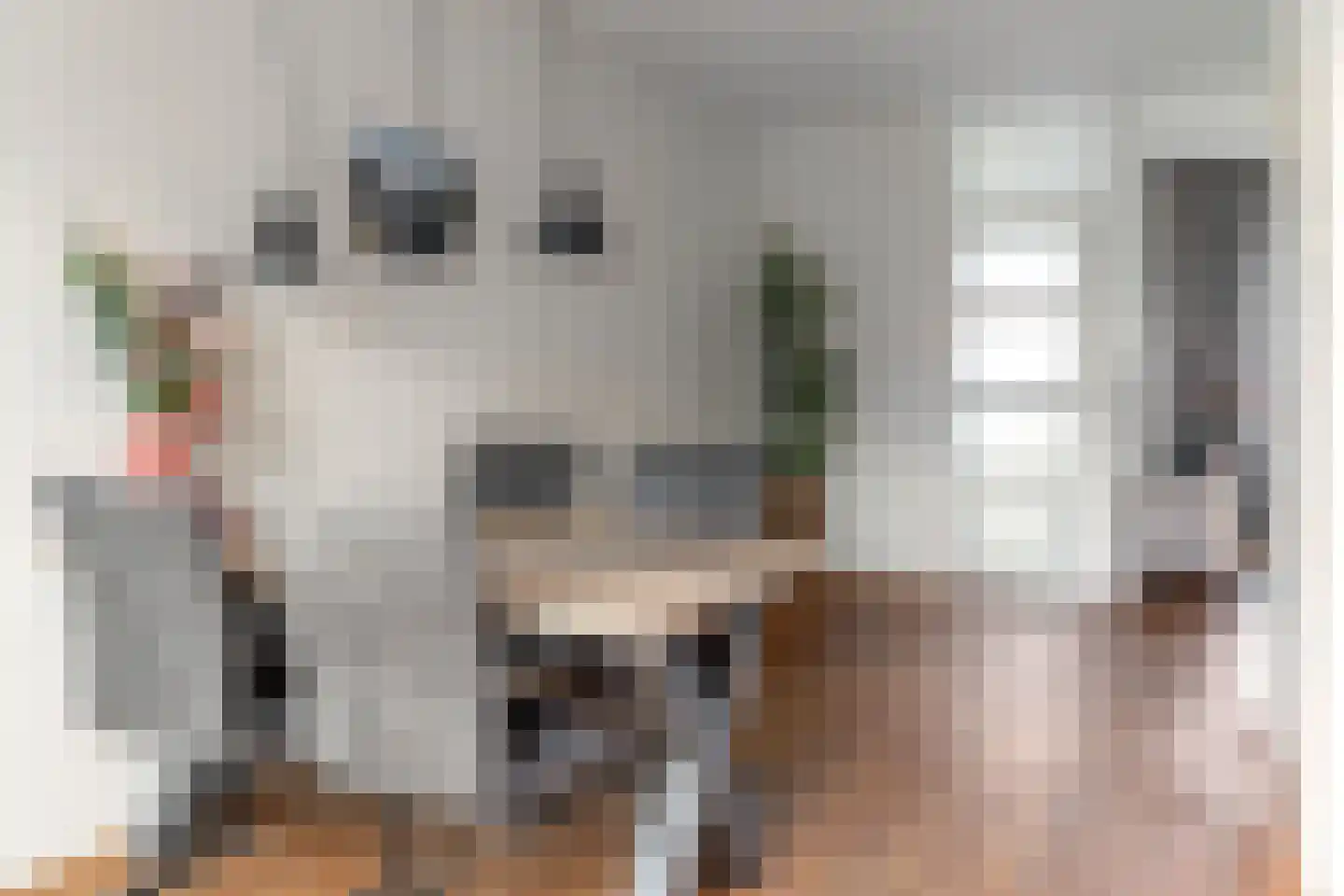Sjoerd Pieters Hoekstraweg 42 Sumar thumbnail 13
