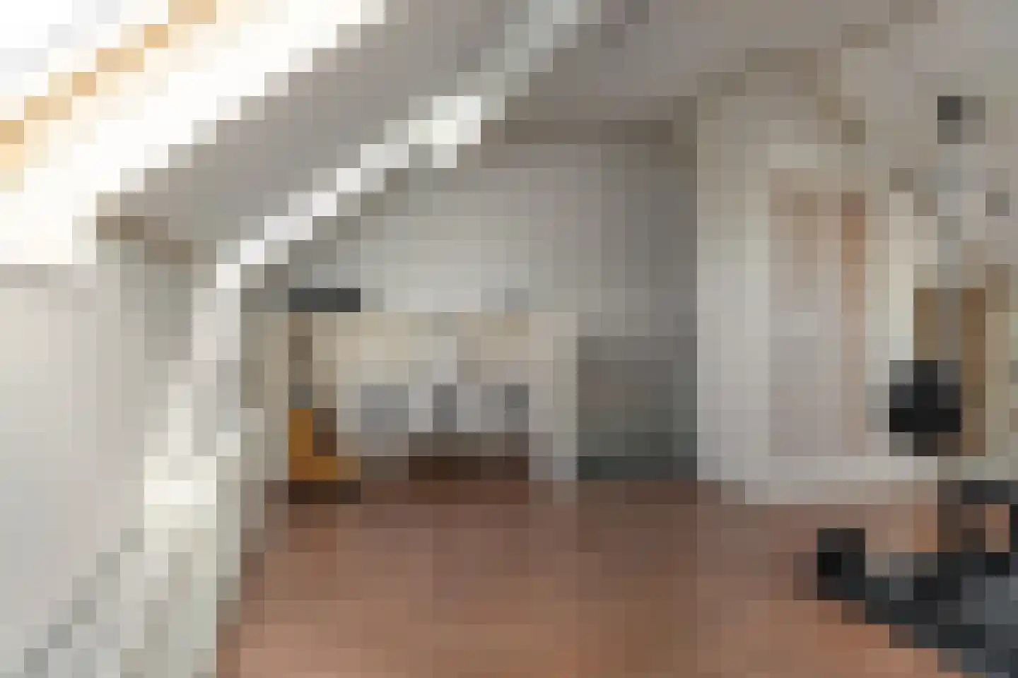 Sjoerd Pieters Hoekstraweg 42 Sumar thumbnail 30