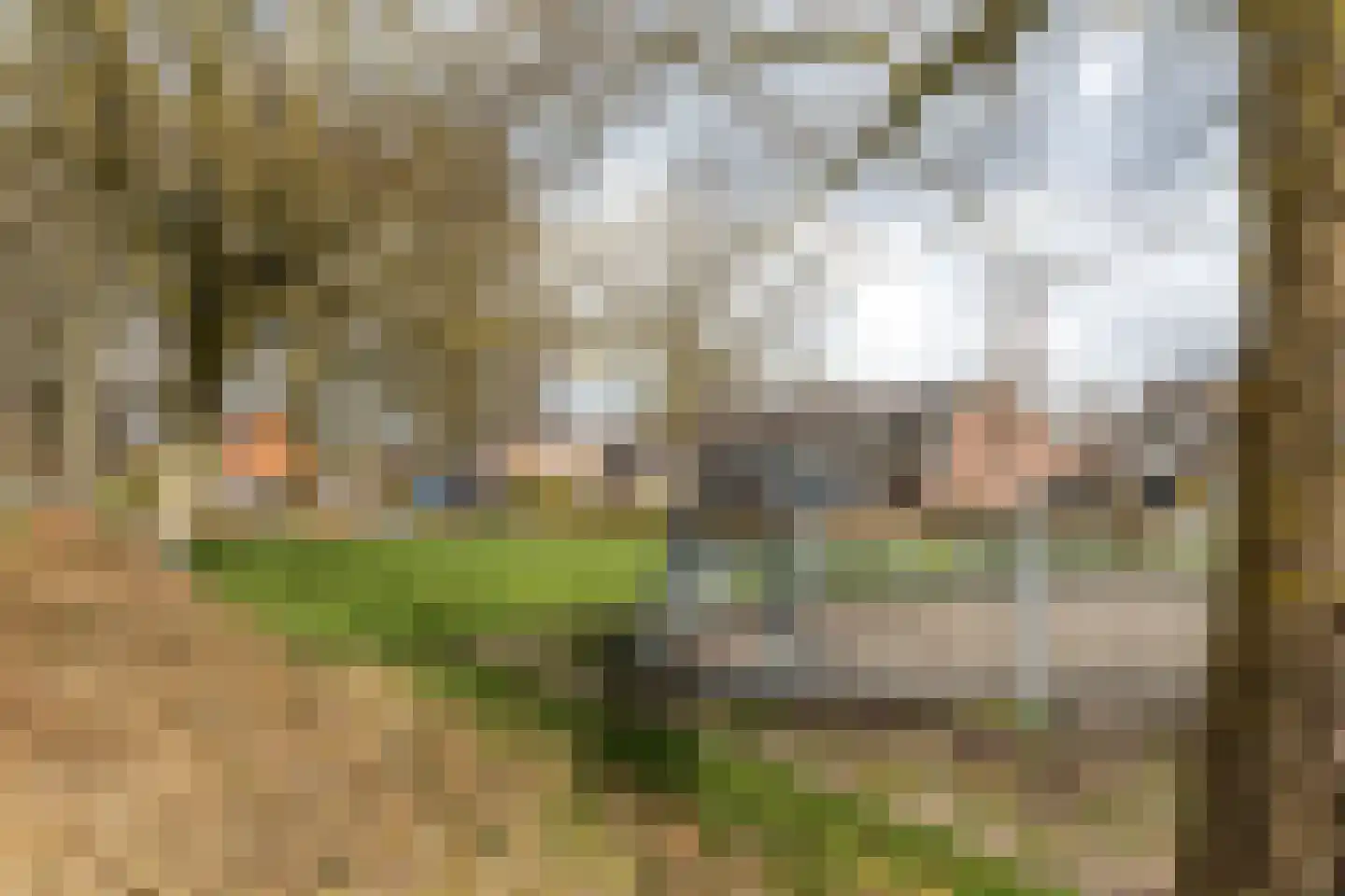 Sjoerd Pieters Hoekstraweg 42 Sumar thumbnail 39